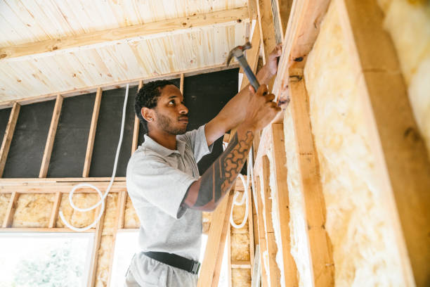 Best Spray Foam Insulation  in St Anthony, MN