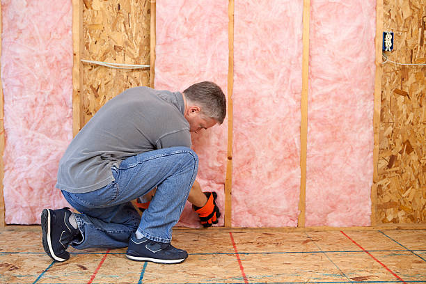 Best Local Insulation Services  in St Anthony, MN