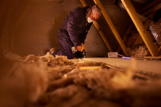 Professional Insulation Contractor in St Anthony, MN
